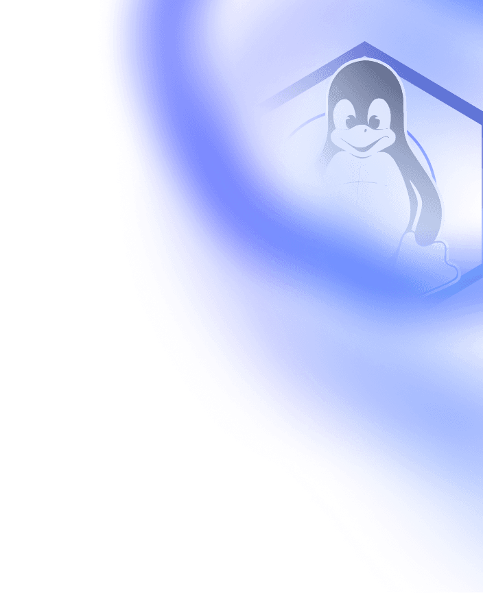 IMG_background (1)